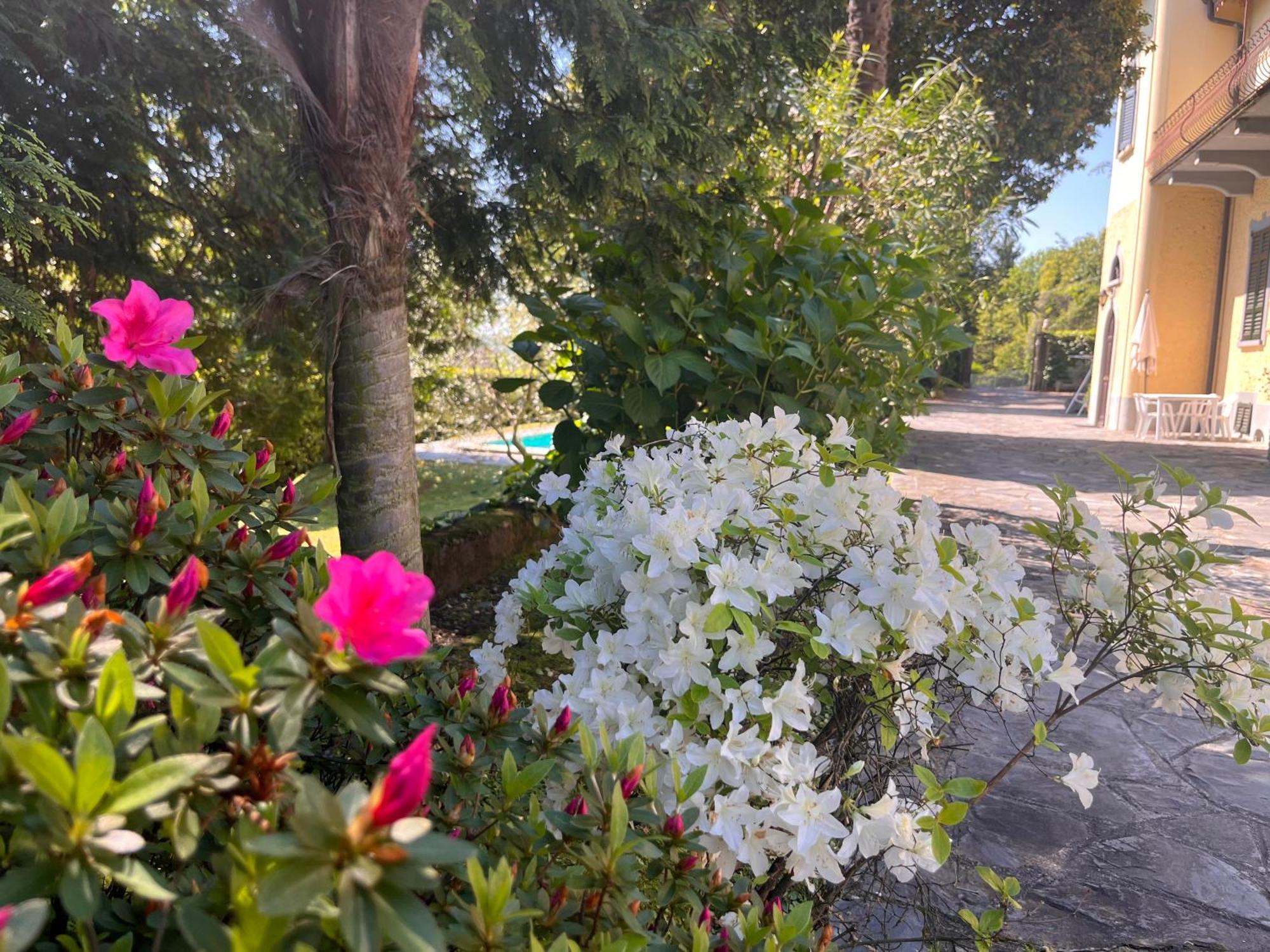Appartamento in villa storica vista lago e piscina Lesa Esterno foto